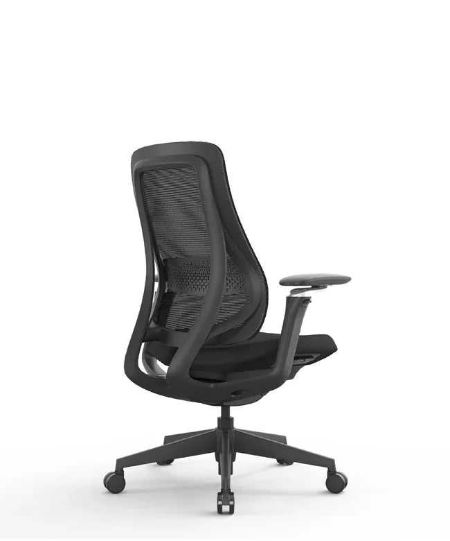 Ergonomic Office Chair Valaris Pro W