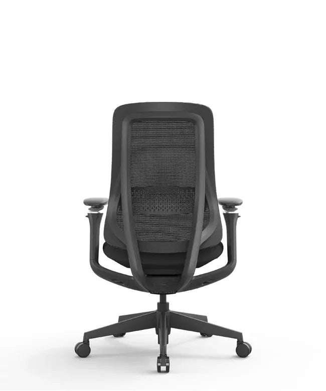 Ergonomic Office Chair Valaris Pro W