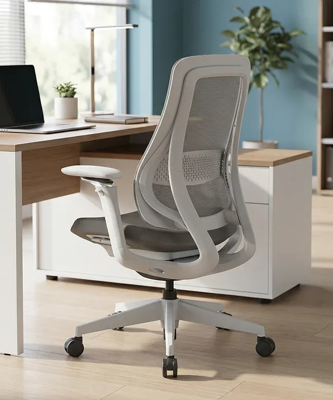 Ergonomic Office Chair Valaris Pro W
