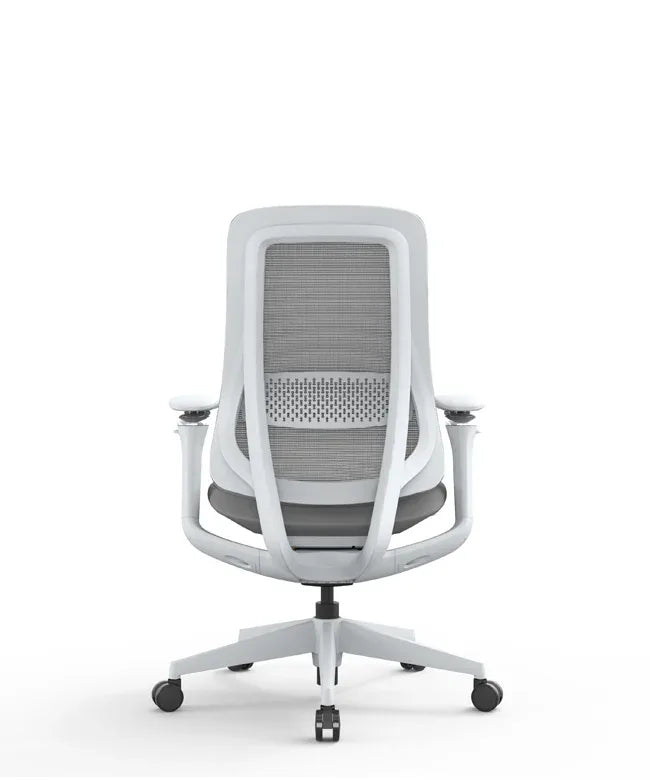 Ergonomic Office Chair Valaris Pro W