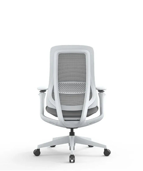 Ergonomic Office Chair Valaris Pro W