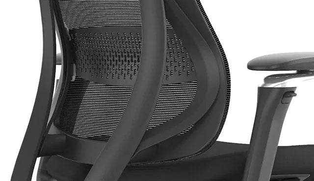 Ergonomic Office Chair Valaris Pro W