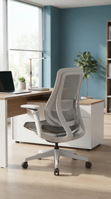 Ergonomic Office Chair Valaris Pro W