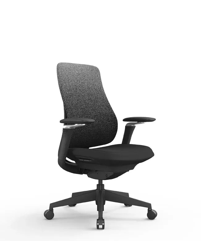 Ergonomic Office Chair Valaris Pro W