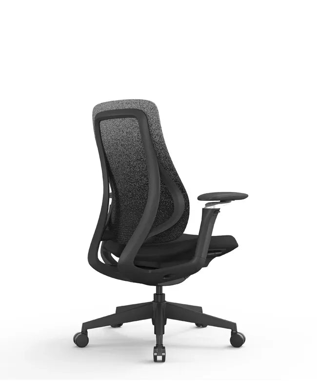Ergonomic Office Chair Valaris Pro W