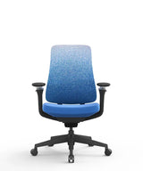 Ergonomic Office Chair Valaris Pro W