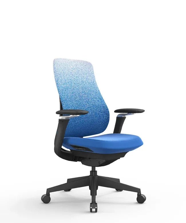 Ergonomic Office Chair Valaris Pro W