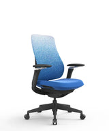 Ergonomic Office Chair Valaris Pro W