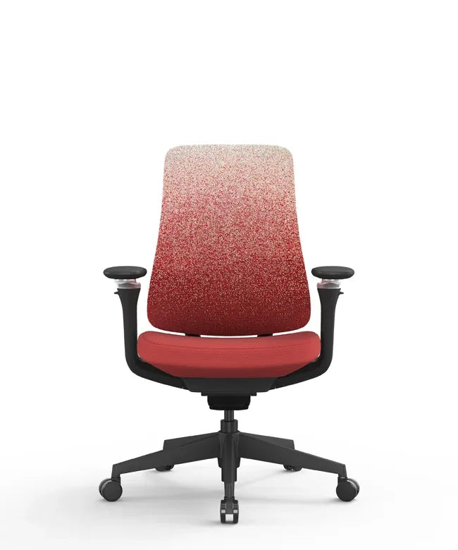 Ergonomic Office Chair Valaris Pro W
