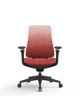 Ergonomic Office Chair Valaris Pro W