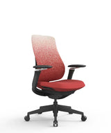 Ergonomic Office Chair Valaris Pro W