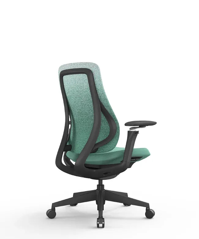 Ergonomic Office Chair Valaris Pro W