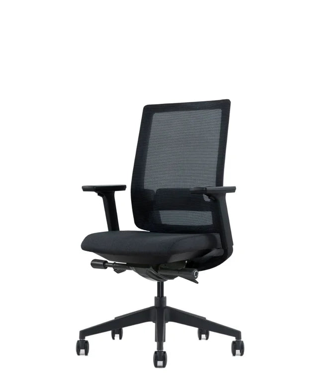 Ergonomic Office Chair Expert W