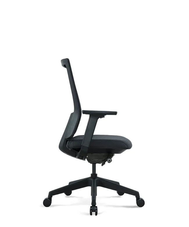 Ergonomic Office Chair Expert W