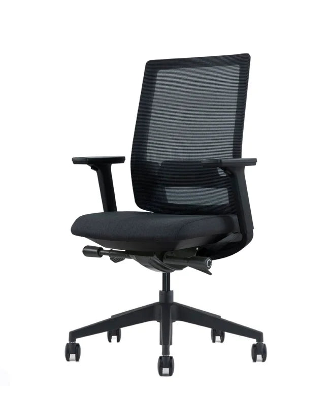 Ergonomic Office Chair Expert W