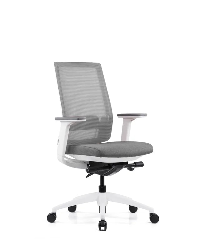 Ergonomic Office Chair Expert W