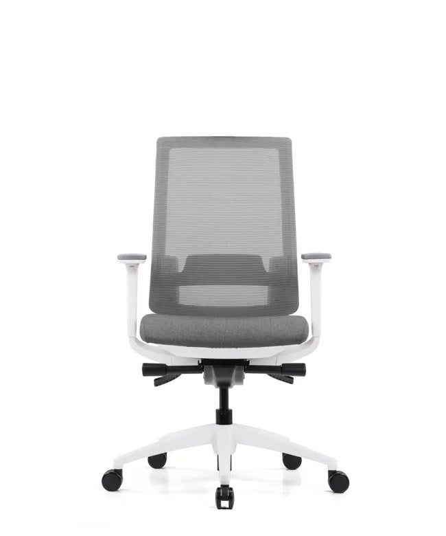 Ergonomic Office Chair Expert W