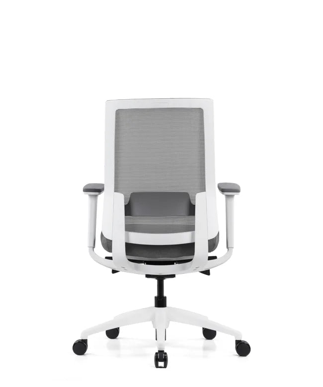 Ergonomic Office Chair Expert W