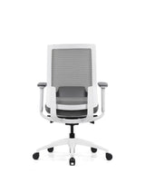 Ergonomic Office Chair Expert W