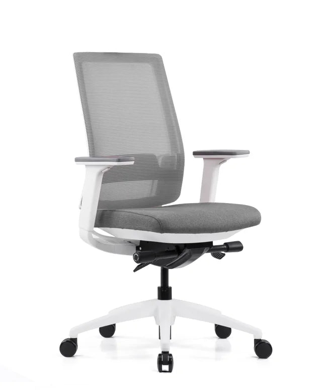 Ergonomic Office Chair Expert W