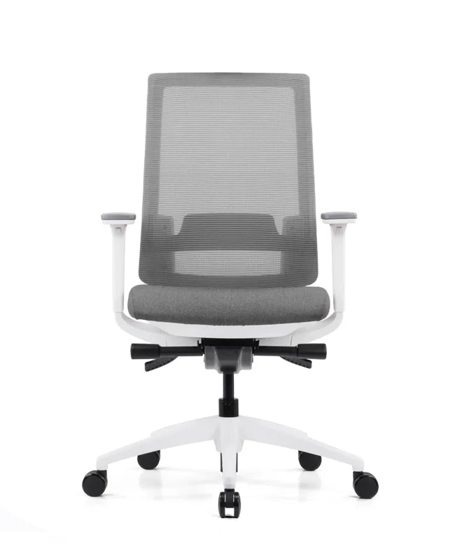 Ergonomic Office Chair Expert W
