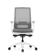 Ergonomic Office Chair Expert W