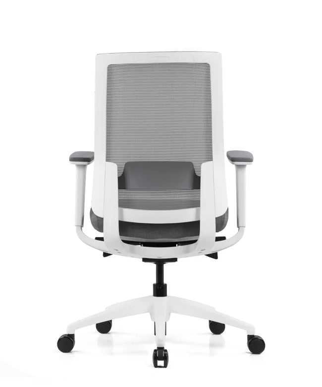 Ergonomic Office Chair Expert W