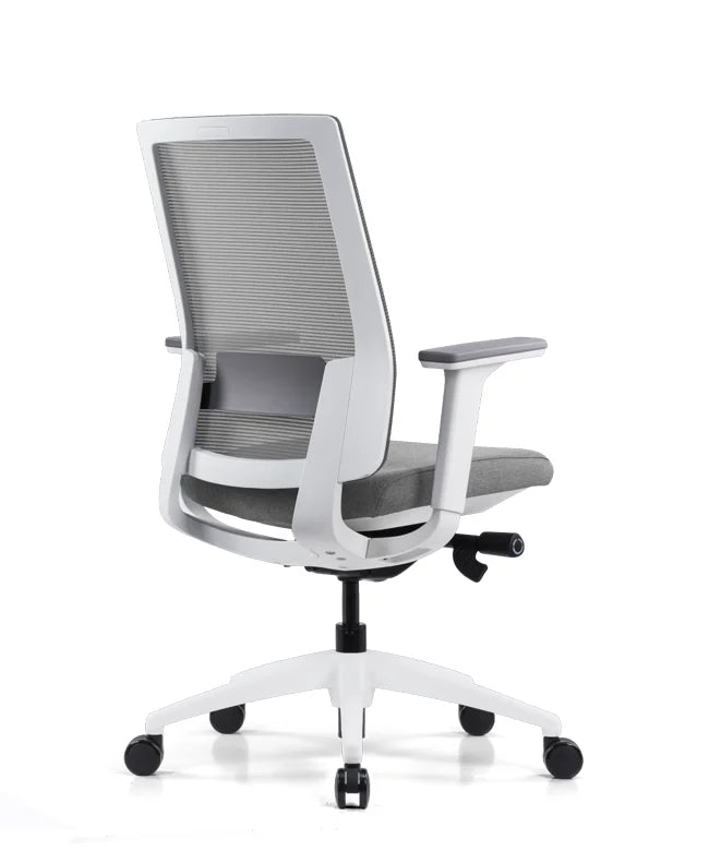 Ergonomic Office Chair Expert W