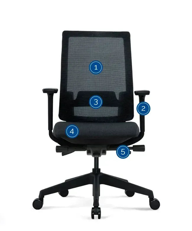 Ergonomic Office Chair Expert W