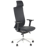 Ergonomic Office Chair Akcent PLUS