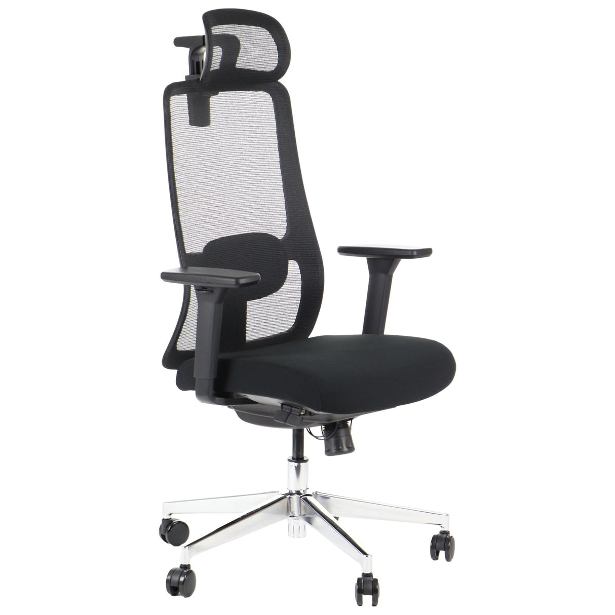 Ergonomic Office Chair XELO