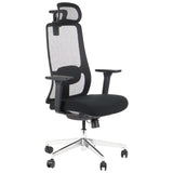 Ergonomic Office Chair XELO