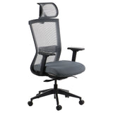 Ergonomic Office Chair HOPE