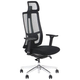 Ergonomic Office Chair Akcent PLUS