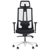 Ergonomic Office Chair Akcent PLUS