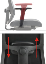 Ergonomic Office Chair XELO