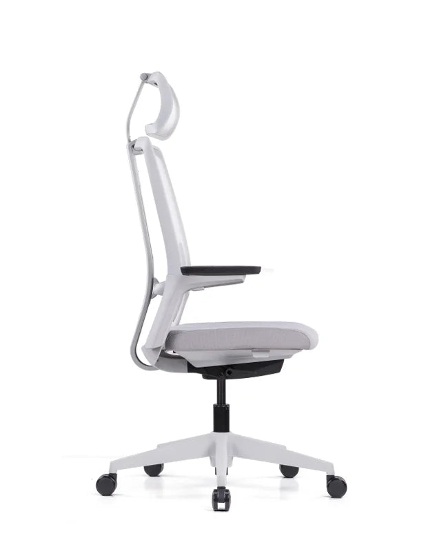 Ergonomic Office Chair Magnus