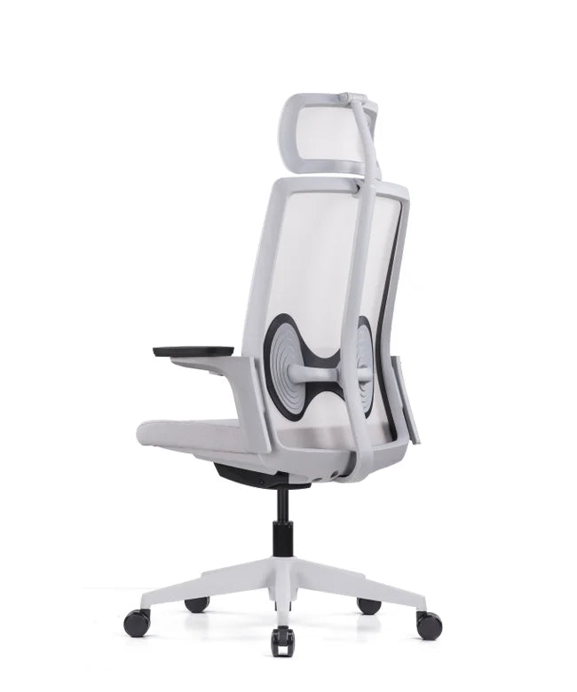 Ergonomic Office Chair Magnus