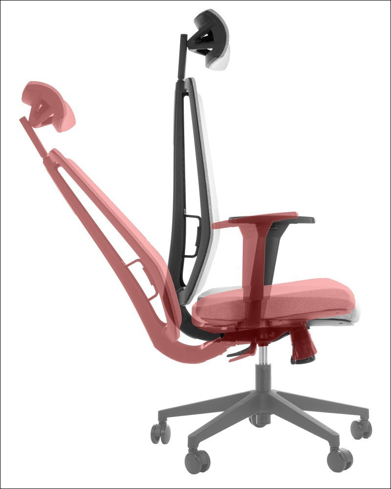 Ergonomic Office Chair ZN-807
