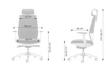 Ergonomic Office Chair Comfort