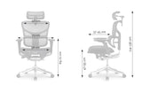 Ergonomic Office Chair Smart Plus PRO