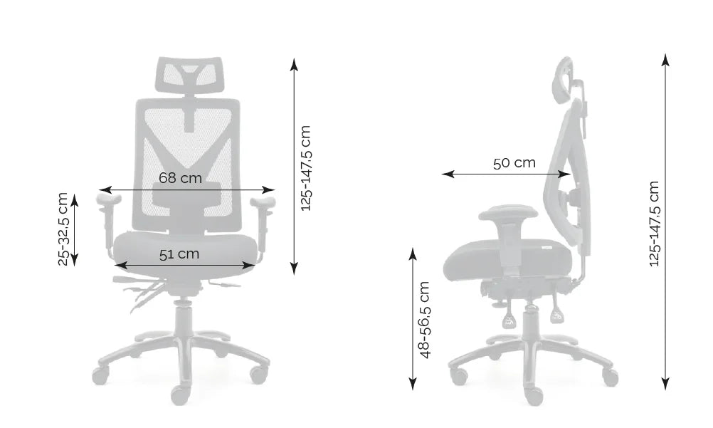 Ergonomic Office Chair Nexus