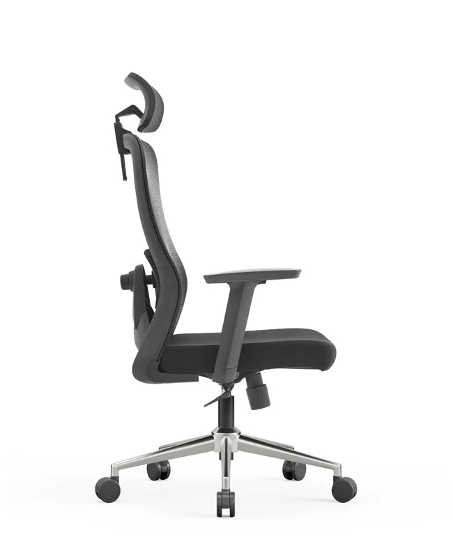 Ergonomic Office Chair Nexus