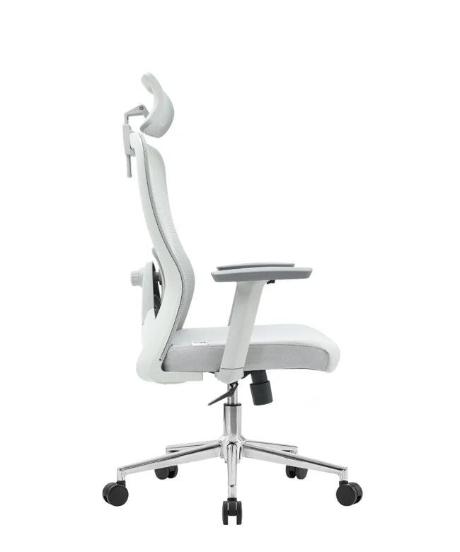 Ergonomic Office Chair Nexus