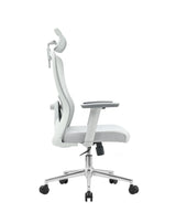 Ergonomic Office Chair Nexus