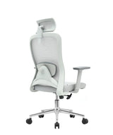 Ergonomic Office Chair Nexus