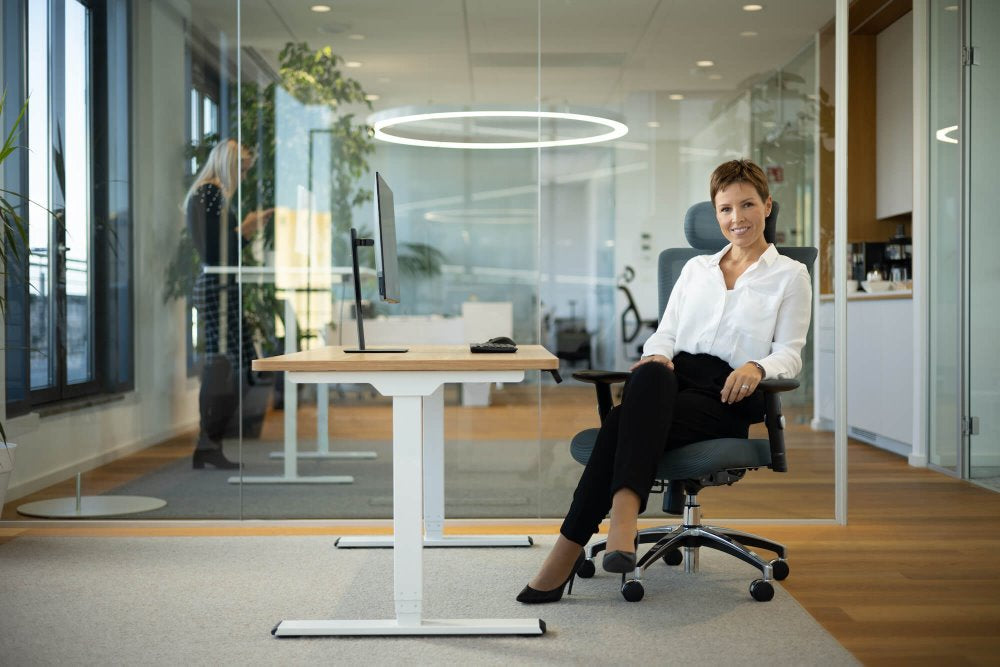 Ergonomic Office Chair Smart Basic