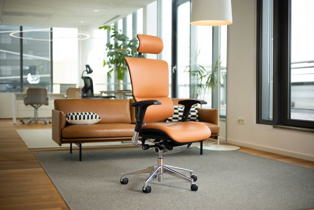 Ergonomic Office Chair Smart Deluxe