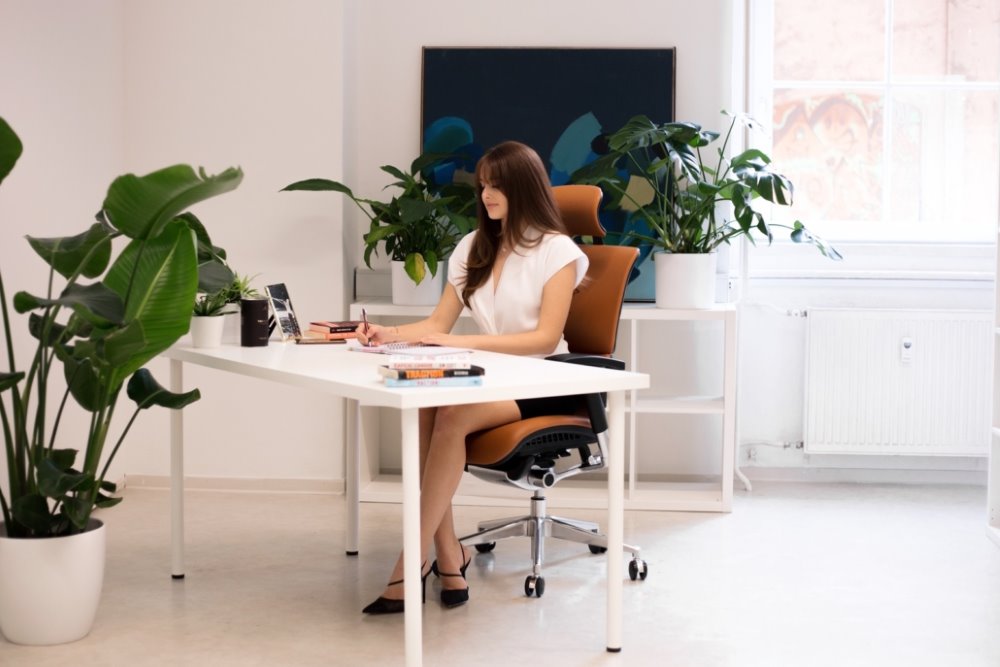 Ergonomic Office Chair Smart Deluxe