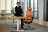 Ergonomic Office Chair Smart Deluxe